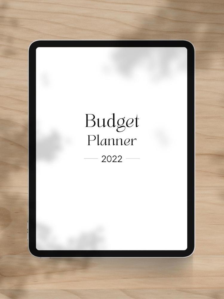 Free 67-Page Minimal Budget Planner Printable PDF